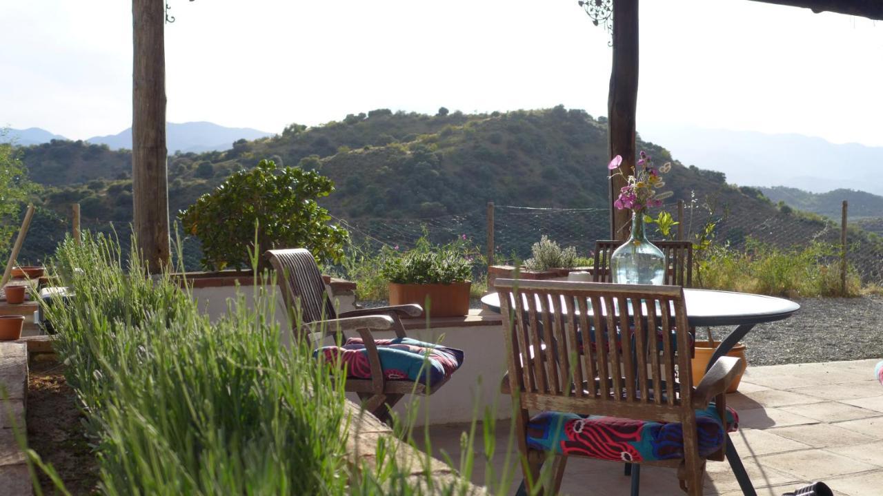 Corazon Andaluz Guesthouse Coín Kültér fotó