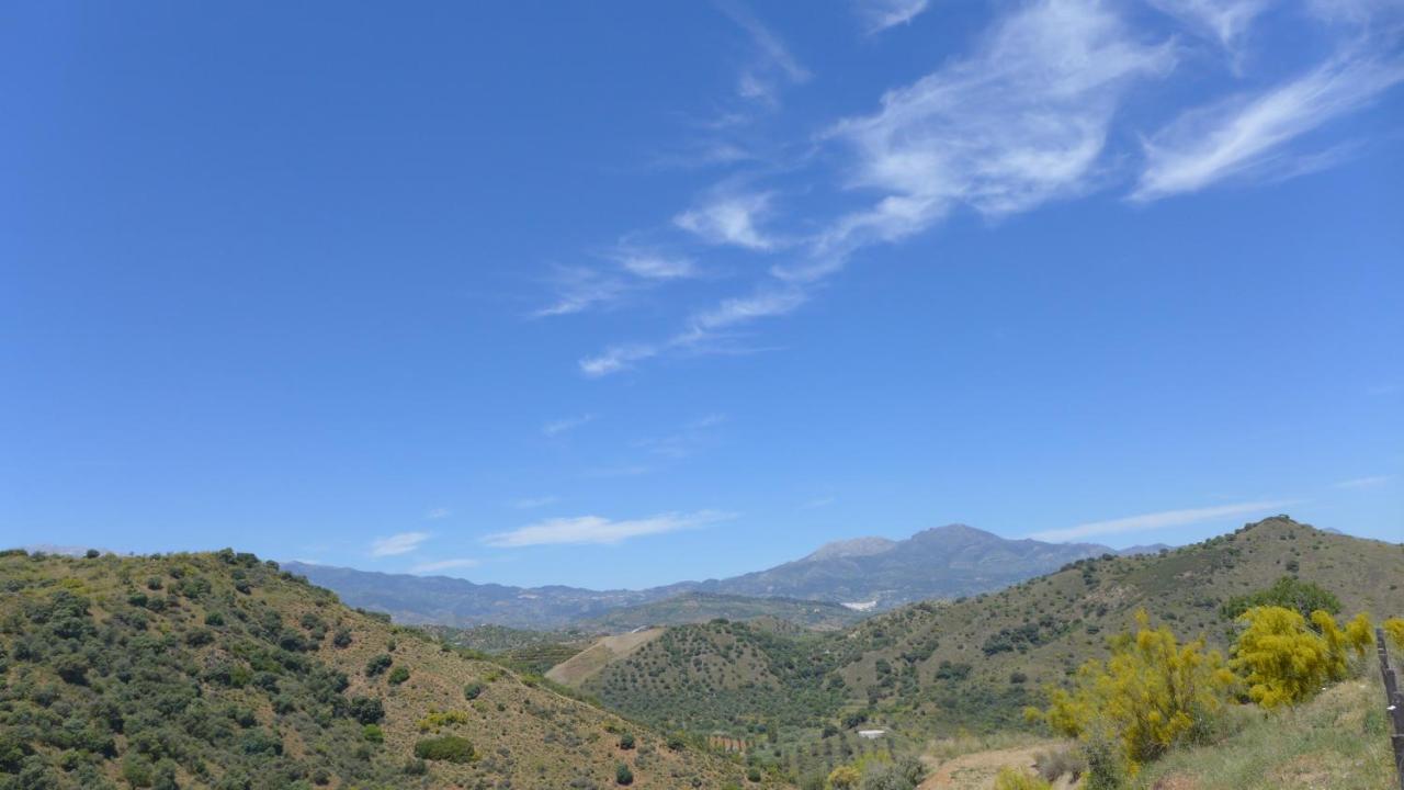 Corazon Andaluz Guesthouse Coín Kültér fotó