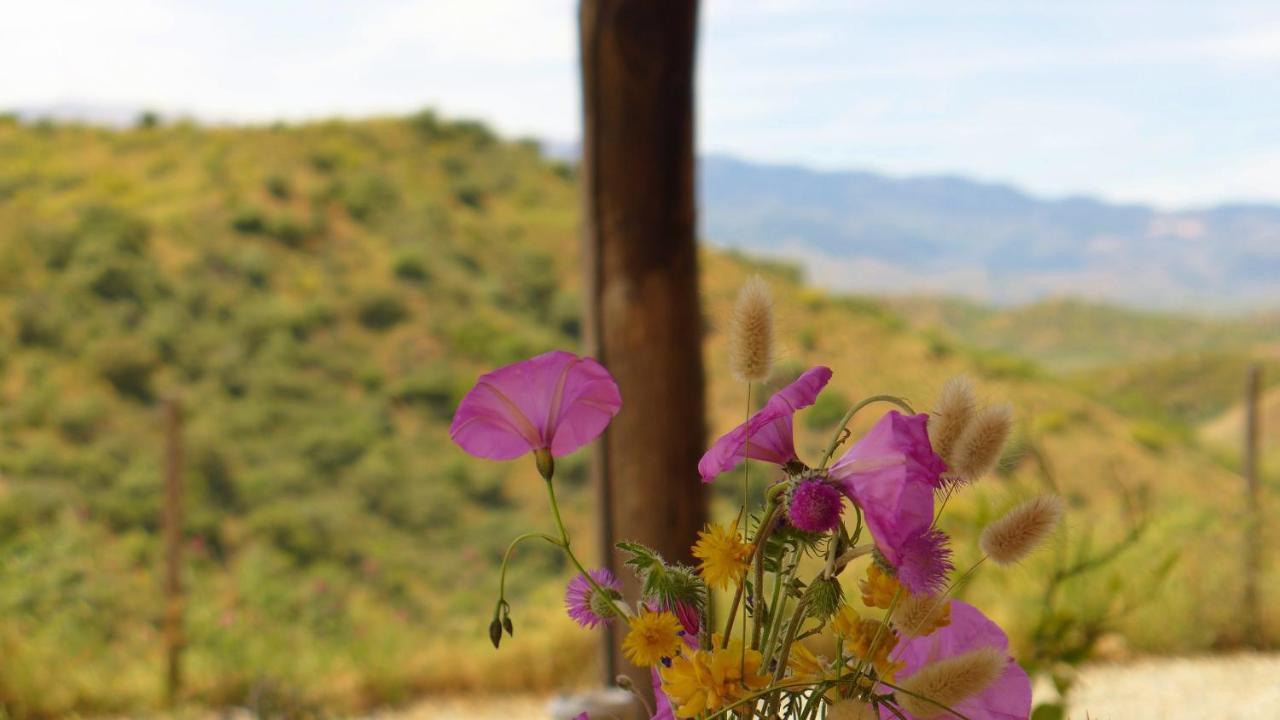 Corazon Andaluz Guesthouse Coín Kültér fotó