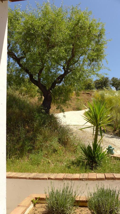 Corazon Andaluz Guesthouse Coín Kültér fotó