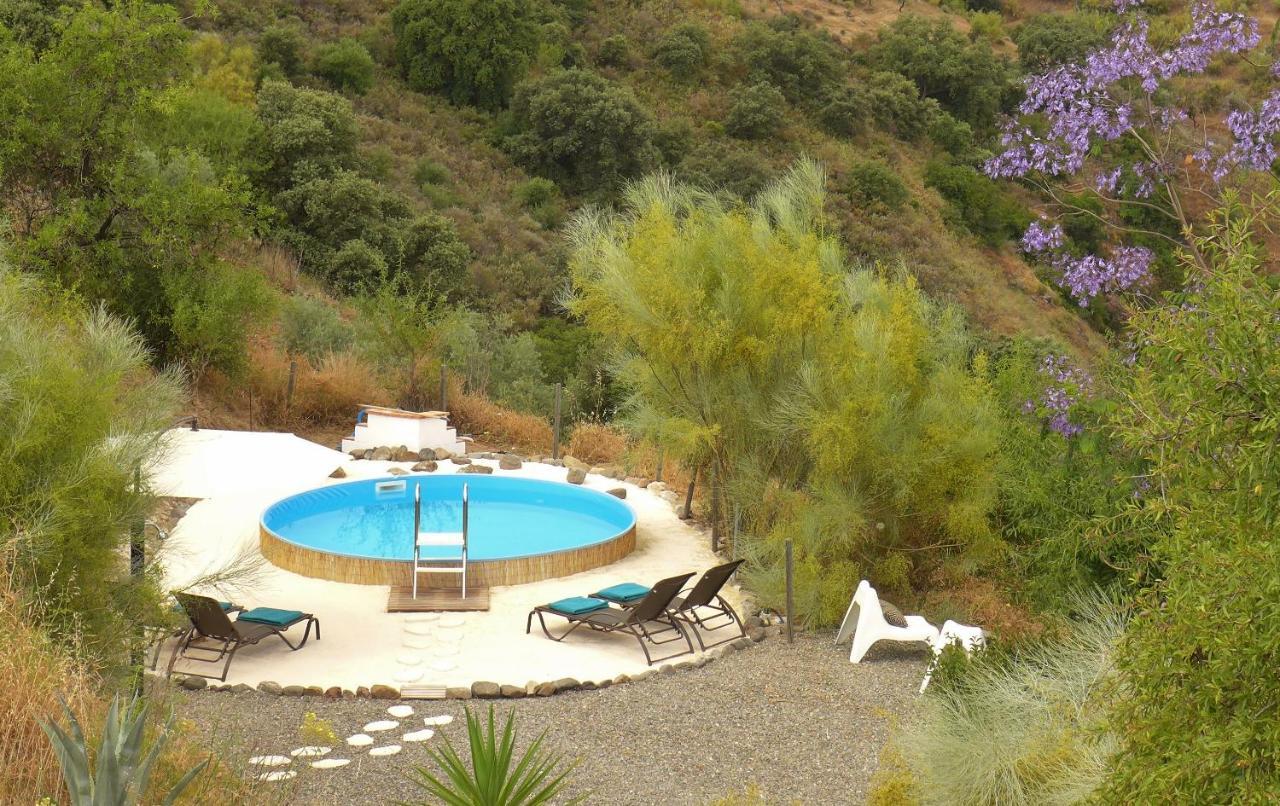 Corazon Andaluz Guesthouse Coín Kültér fotó