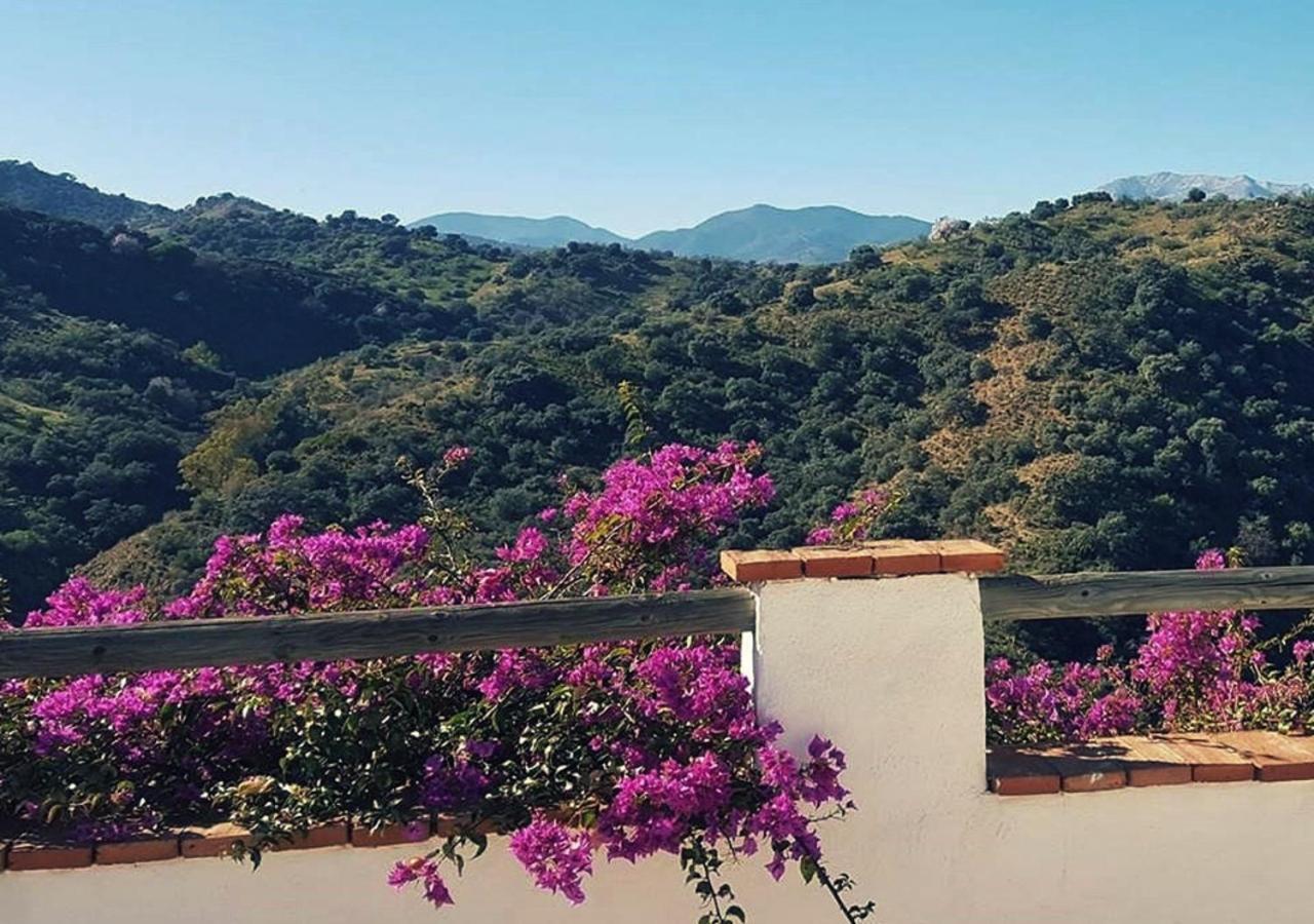 Corazon Andaluz Guesthouse Coín Kültér fotó