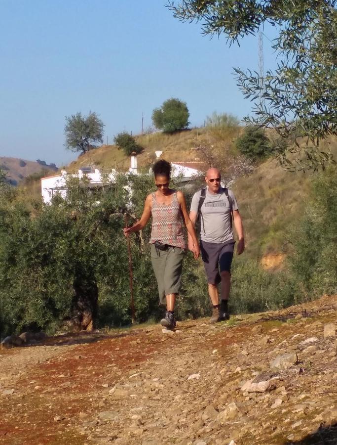 Corazon Andaluz Guesthouse Coín Kültér fotó